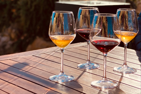 Upplevelse av gården La Maliosa &amp; vinprovning