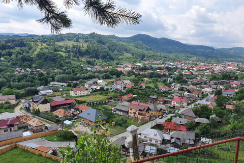 De Bucarest: excursion privée d'une journée à Basarabovo et Veliko Tarnovo