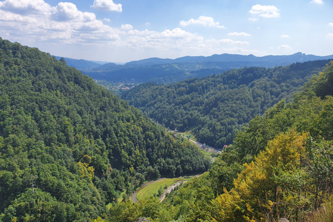 De Bucarest: excursion privée d'une journée à Basarabovo et Veliko Tarnovo