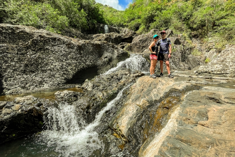 Mauricio: caminata guiada por Tamarind Falls con almuerzoMauricio: caminata guiada de 5 horas por las cataratas Tamarind con almuerzo