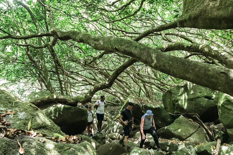 Mauritius: Wycieczka z przewodnikiem po wodospadzie Tamarind z lunchemMauritius: 5-godzinna wycieczka z przewodnikiem po wodospadach Tamarind z lunchem