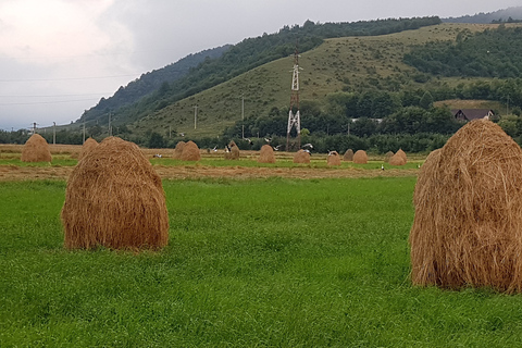 Bucarest: excursion privée de 2 jours dans les grottes et les monastères roumains