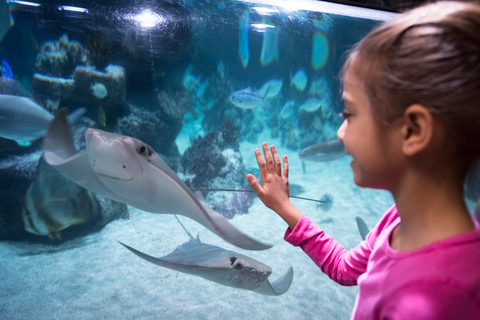 SEA LIFE Berlijn TicketsDagkaart