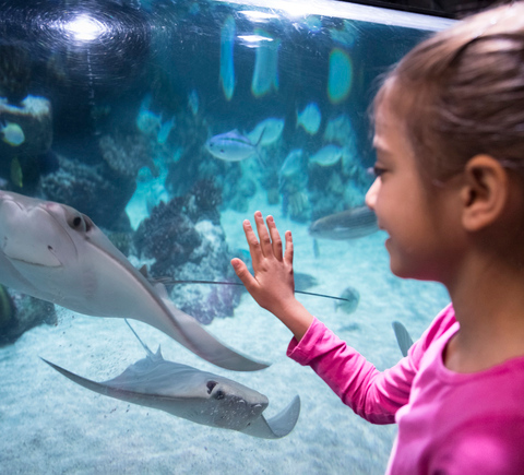 Family-friendly activities