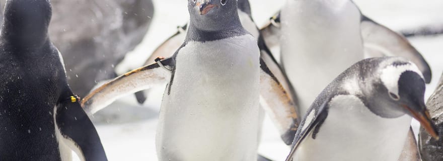 Billet pour SEA LIFE Konstanz