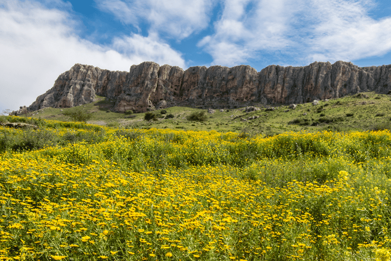 Depuis Tel-Aviv : visite des hauteurs du Golan