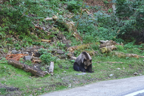 Van Boekarest: 2-daagse privétour Transfagarasan Highway