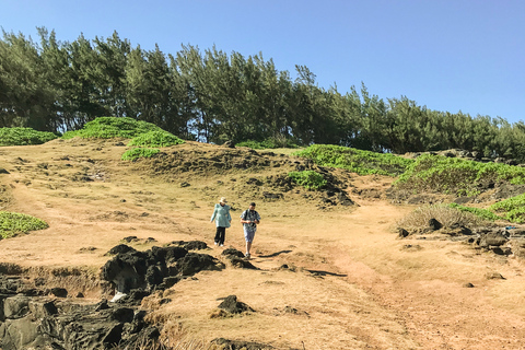 Mauritius: wycieczka piesza po Wild South z przewodnikiem