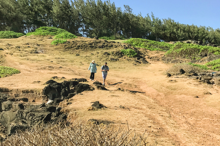 Mauritius: wycieczka piesza po Wild South z przewodnikiem