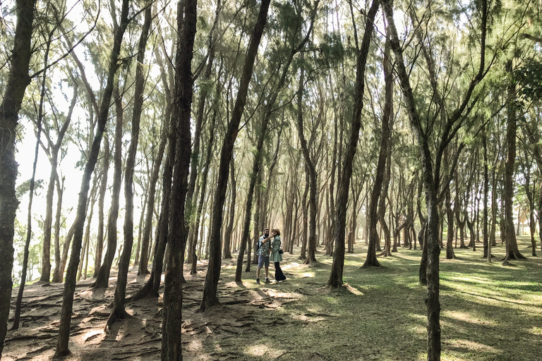 Mauritius: Der wilde Süden Wandertour mit einem Guide