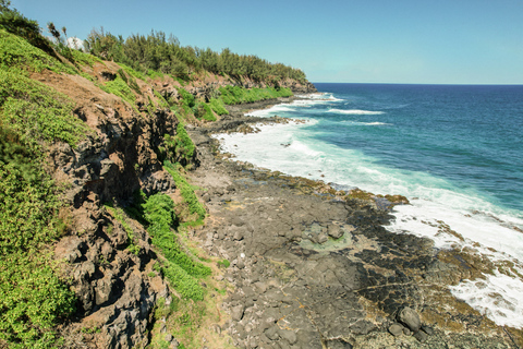 Mauritius: The Wild South-wandeltocht met een gids