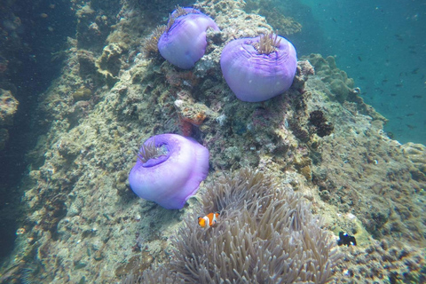 Krabi: Excursión a las 7 islas al atardecer con cena barbacoa y snorkelPunto de encuentro en la playa de Railay