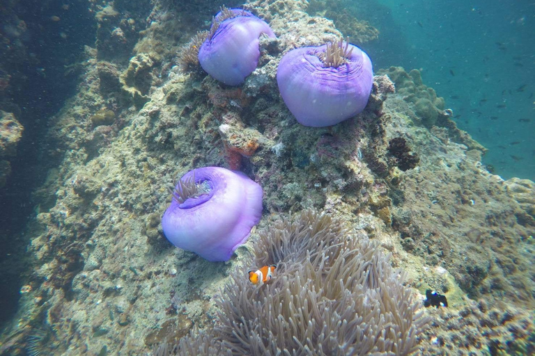 Krabi: 7 Eilanden Zonsondergang Tour met BBQ Diner en SnorkelenOphalen bij hotel in Ao Nang, Krabi, Klong Muang en Tubkaek