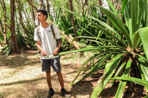 Mauritius: The Wild South-wandeltocht met een gids