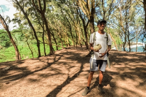 Mauritius: The Wild South-wandeltocht met een gids