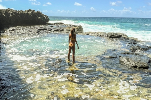 Mauritius: Der wilde Süden Wandertour mit einem Guide