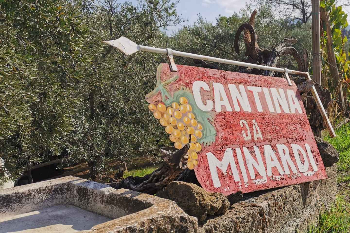 From Rome: Half-Day Frascati Wine Tour with Farmhouse Lunch