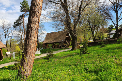 Bukarest: Private Kommunismus-Tour mit Ceausescu Mansion