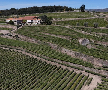 Quinta da Portela de Baixo Winery Tour and Tasting