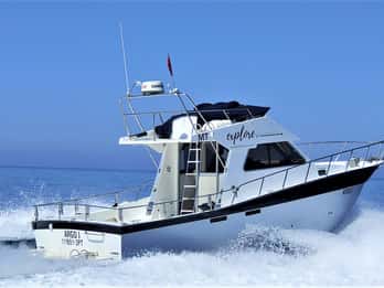 Explora Sesimbra: tour privado de pesca deportiva con todo incluido