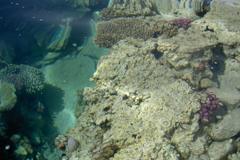 Depuis Hurghada : excursion en VTT dans la baie de Makadi