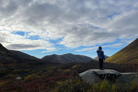 From Anchorage: Chugach State Park Walk with Naturalist From Anchorage: Flora and Fauna Nature Walk with Naturalist