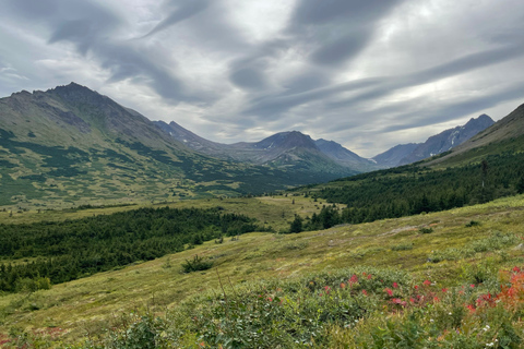 From Anchorage: Chugach State Park Walk with Naturalist From Anchorage: Flora and Fauna Nature Walk with Naturalist