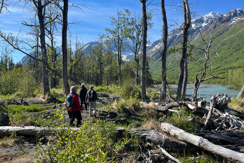 From Anchorage: Valley and Forest Hike with Naturalist Guide