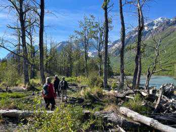 Ab Anchorage: Tal- und Waldwanderung mit Naturführer