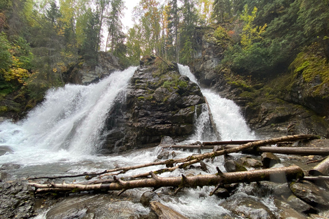 From Anchorage: Valley and Forest Hike with Naturalist Guide