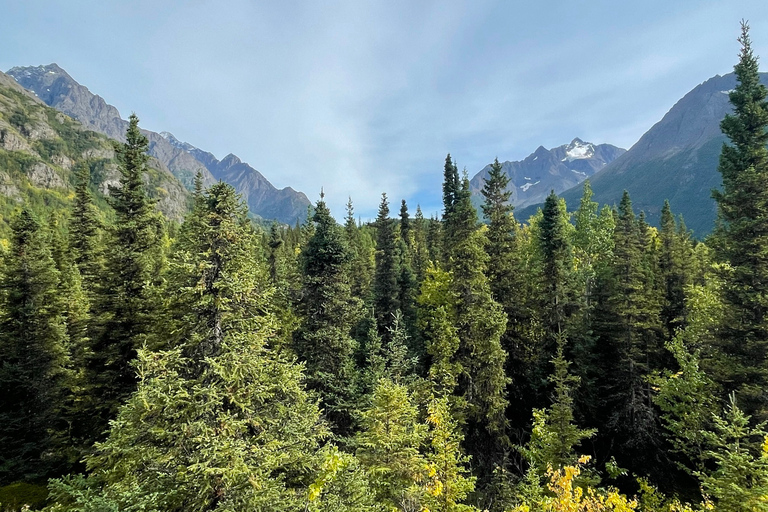 From Anchorage: Valley and Forest Hike with Naturalist Guide