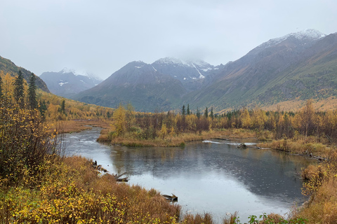 From Anchorage: Valley and Forest Hike with Naturalist Guide