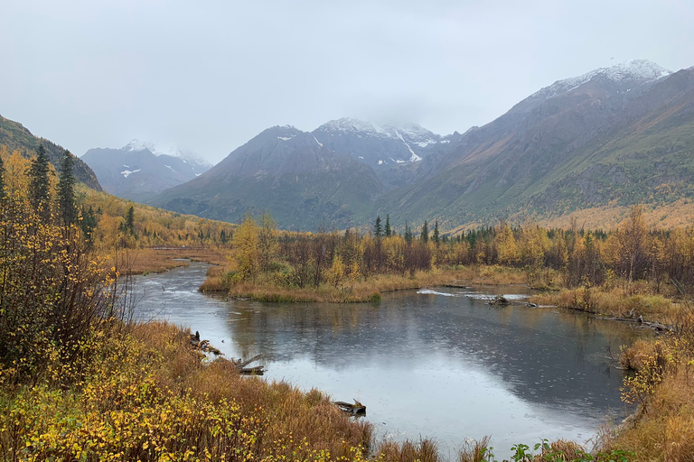 From Anchorage: Valley and Forest Hike with Naturalist Guide