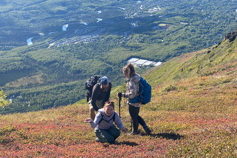 From Anchorage: Chugach State Park Guided Alpine Trek