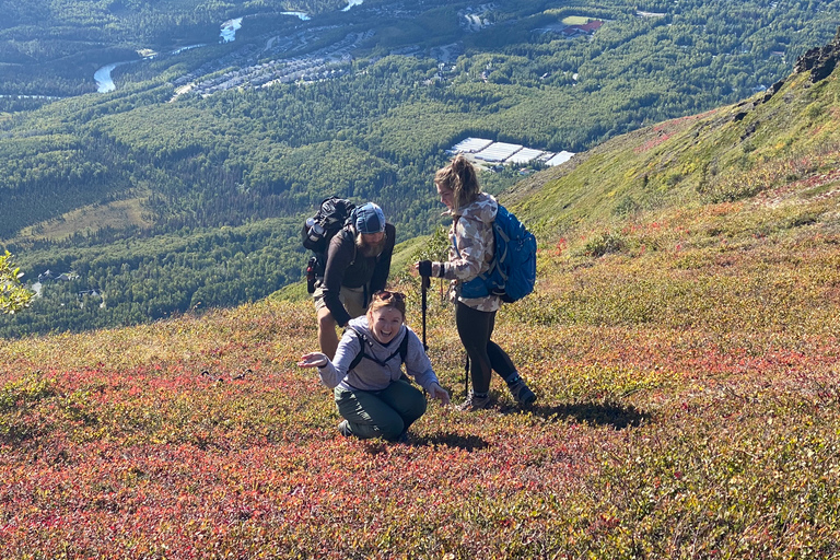 From Anchorage: Chugach State Park Guided Alpine Trek
