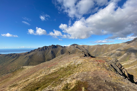 From Anchorage: Chugach State Park Guided Alpine Trek
