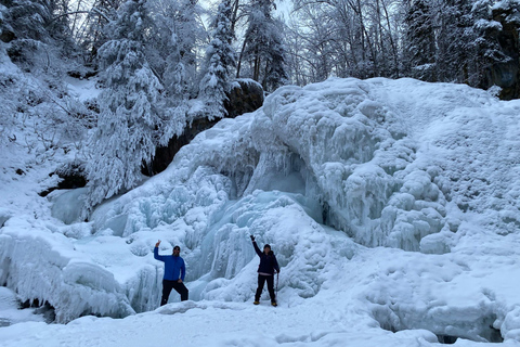 From Anchorage: Chugach State Park Winter Walking Tour