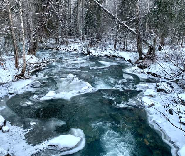 Fr N Anchorage Chugach State Park Winter Walking Tour GetYourGuide   146 