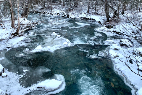 From Anchorage: Chugach State Park Winter Walking Tour