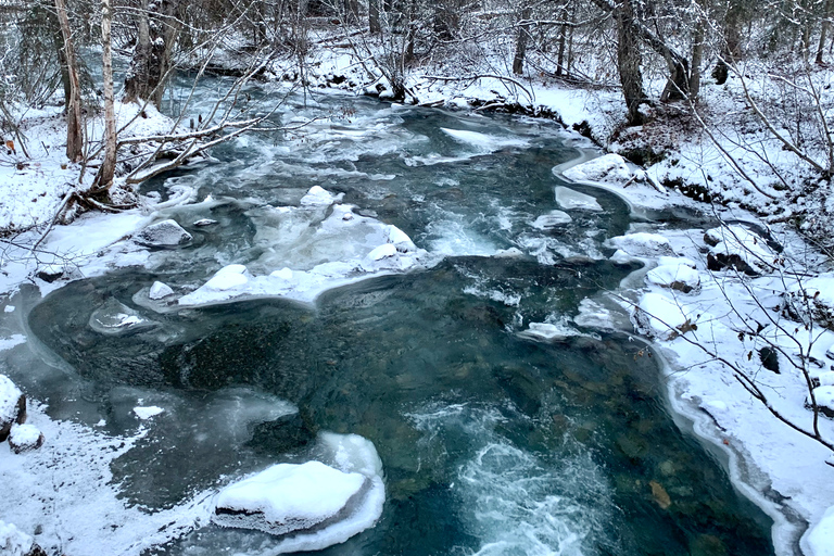 From Anchorage: Chugach State Park Winter Walking Tour
