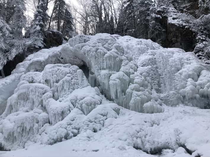 From Anchorage Chugach State Park Winter Walking Tour GetYourGuide   146 