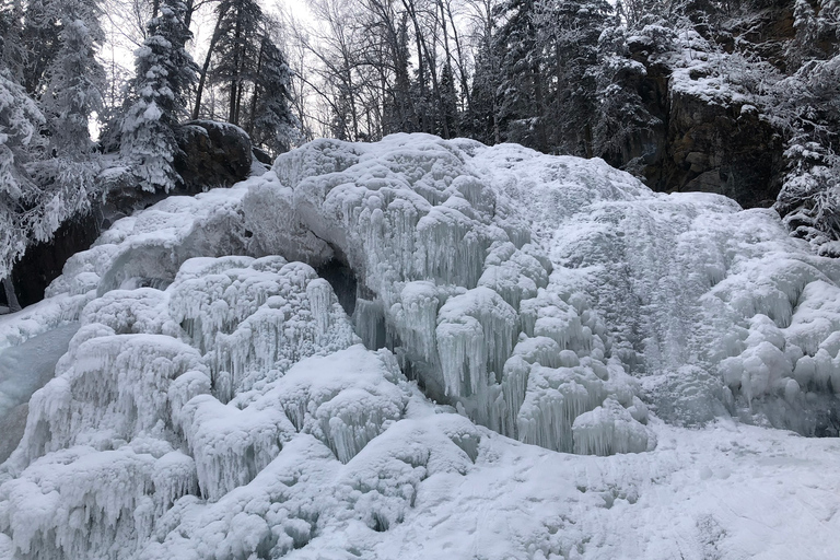 From Anchorage: Chugach State Park Winter Walking Tour