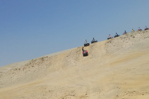 Depuis Hurghada : excursion en VTT dans la baie de Makadi