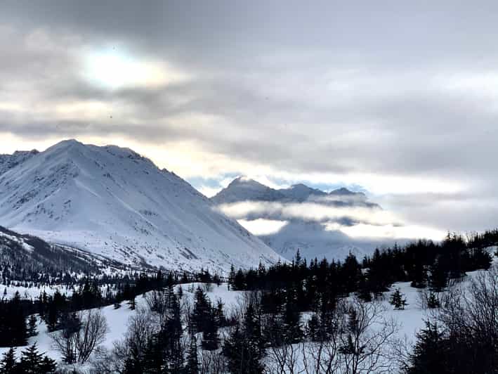 From Anchorage Glen Alps Beginner's Snowshoeing Adventure GetYourGuide