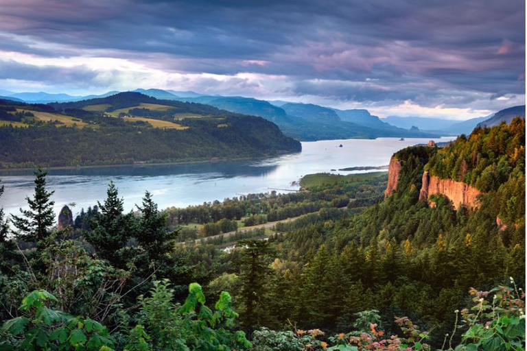 Från Portland: Columbia Gorge Waterfalls och Mt. Hood Tour