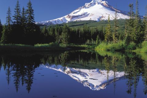 From Portland: Columbia Gorge Waterfalls and Mt. Hood Tour