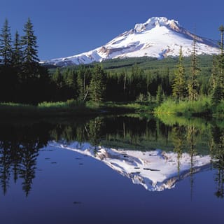 From Portland: Columbia Gorge Waterfalls and Mt. Hood Tour