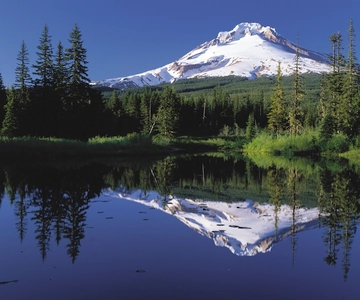From Portland: Columbia Gorge Waterfalls and Mt. Hood Tour