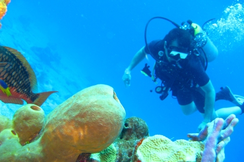 Cartagena: Scuba Diving Day Trip at Playa Blanca with Lunch Standard Option