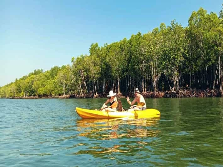 Ko Lanta: Mangrove Kayaking Half-Day Tour | GetYourGuide